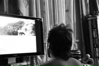 Фотография Fingers Spider