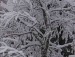 Василь Петрів фотография #46 (источник - https://vk.com/id158293505)