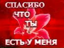 Іринка Сорокіна фотография #24 (источник - https://vk.com/id109229510)