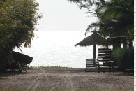 Фотография King Nick