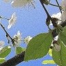 Дана Петріна фотография #26 (источник - https://vk.com/id167201289)