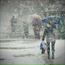 Фотография Медяник Арины