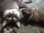 Фотография Черных Елены