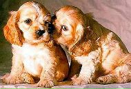 Олексій Кубрак фотография #30 (источник - https://vk.com/id74585351)