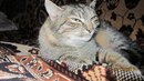 Ірочка Оверчук фотография #17 (источник - https://vk.com/id153074853)