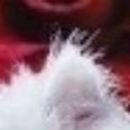 Пєтя Сверба фотография #46 (источник - https://vk.com/id19829246)