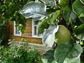 Фотография Ваниной Насти