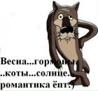 Світланка Гарагода фотография #42 (источник - https://vk.com/id170395542)