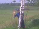Діана Трофимчук фотография #13 (источник - https://vk.com/id82754608)