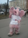 Фотография Шараг Катерины