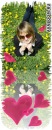 [че...[love]...чек] •. .•°masichka•. .•° фотография #10 (источник - https://vk.com/id137306494)