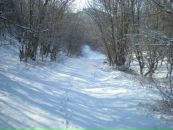 Sergei Михеденко фотография #29 (источник - https://vk.com/id63387404)