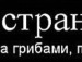 Вадім Яременко фотография #42 (источник - https://vk.com/id78262568)