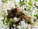 Тіна Кароль фотография #29 (источник - https://vk.com/id168345197)