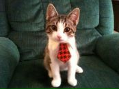 Фотография Яроцкого Станислава