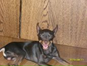 Фотография Гаврилова Павла