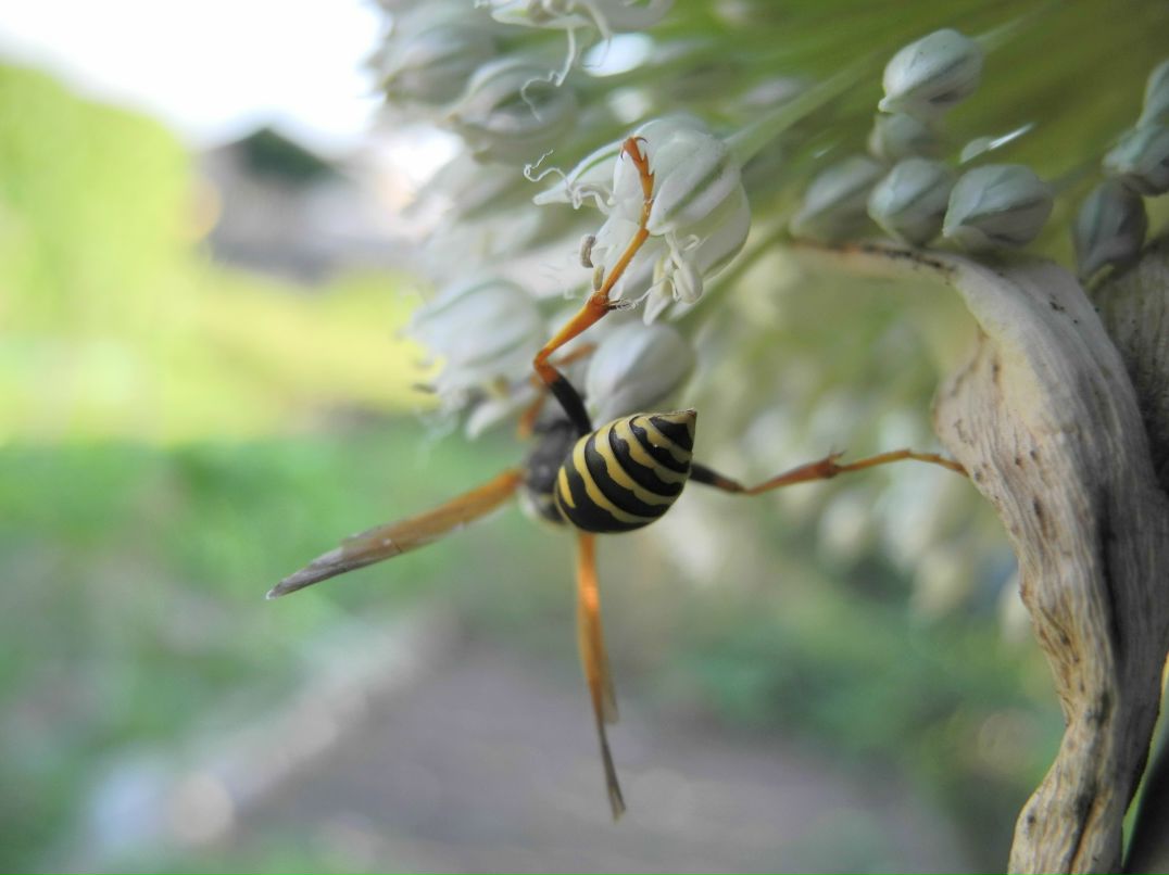 Илья Маслов фотография #40