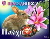 Галя Стаднік фотография #21 (источник - https://vk.com/id93456551)