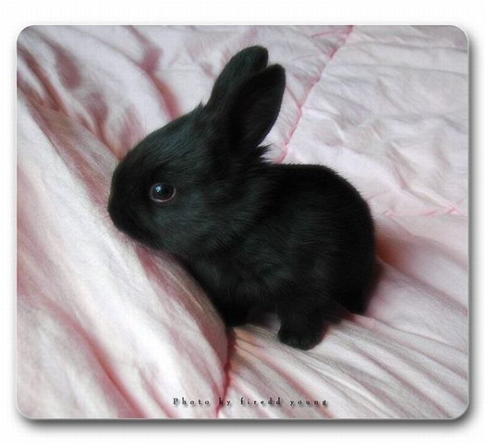 Сергей Логачёв фотография #18