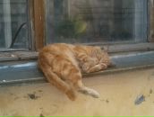 Фотография Острогляд Екатерины