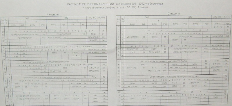 Денис Матвеев фотография #42