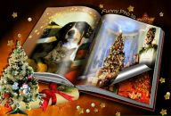 Фотография Ажажи Светланы