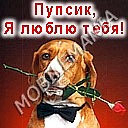 Міша Романюк фотография #33 (источник - https://vk.com/id80403807)