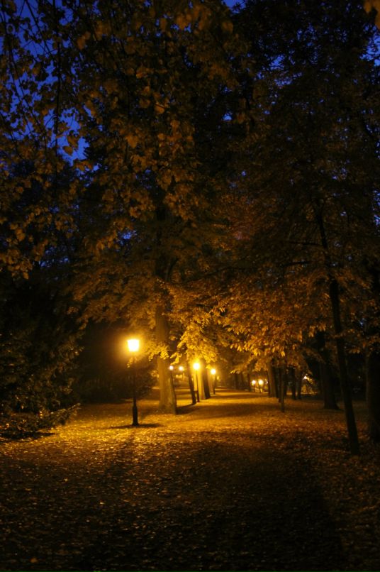 Дмитрий Вавель фотография #26