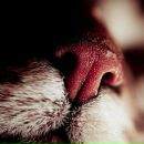 Віка Погуляй фотография #26 (источник - https://vk.com/id17894574)