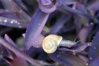 Фотография Дрожжиной Анастасии