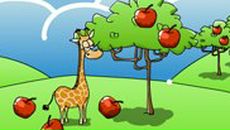 Фотография Воронова Дмитрия