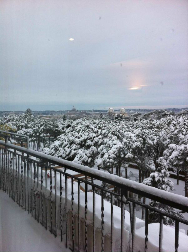 Julia Tsesis фотография #31