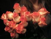 Фотография Лисицы Ирины