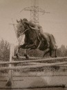 Фотография Зуева Андрея