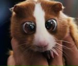 Фотография Калюжной Марии