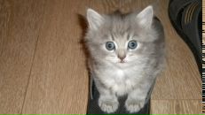 Фотография Корольковой Марины