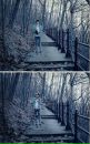Еліас Розенберг фотография #9 (источник - https://vk.com/id110391172)