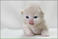 Вадім Бонгар фотография #6 (источник - https://vk.com/id72563271)