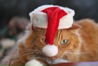 Любовь Духанова фотография #15 (источник - https://vk.com/id5068523)