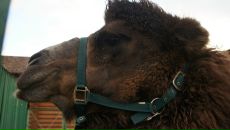 Фотография Крупина Юры