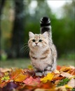 Фотография Карикова Максима