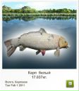 Андрій Кирилич фотография #42 (источник - https://vk.com/id72602419)