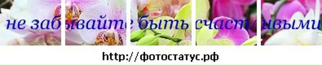 Іван Чирик фотография #42 (источник - https://vk.com/id38930392)