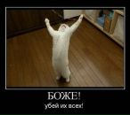 Фотография Яворской Элины