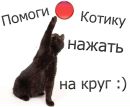 Діма Василець фотография #13 (источник - https://vk.com/id171853844)