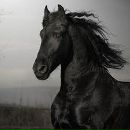 Сергій Клепар фотография #4 (источник - https://vk.com/id63225348)