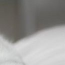 Наталія Олійник фотография #17 (источник - https://vk.com/id85387598)