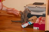 Діма Аврамчук фотография #5 (источник - https://vk.com/id16560452)