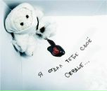 Фотография Лещукова Алексея