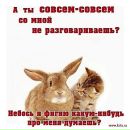 Фотография Сергеевой Марии